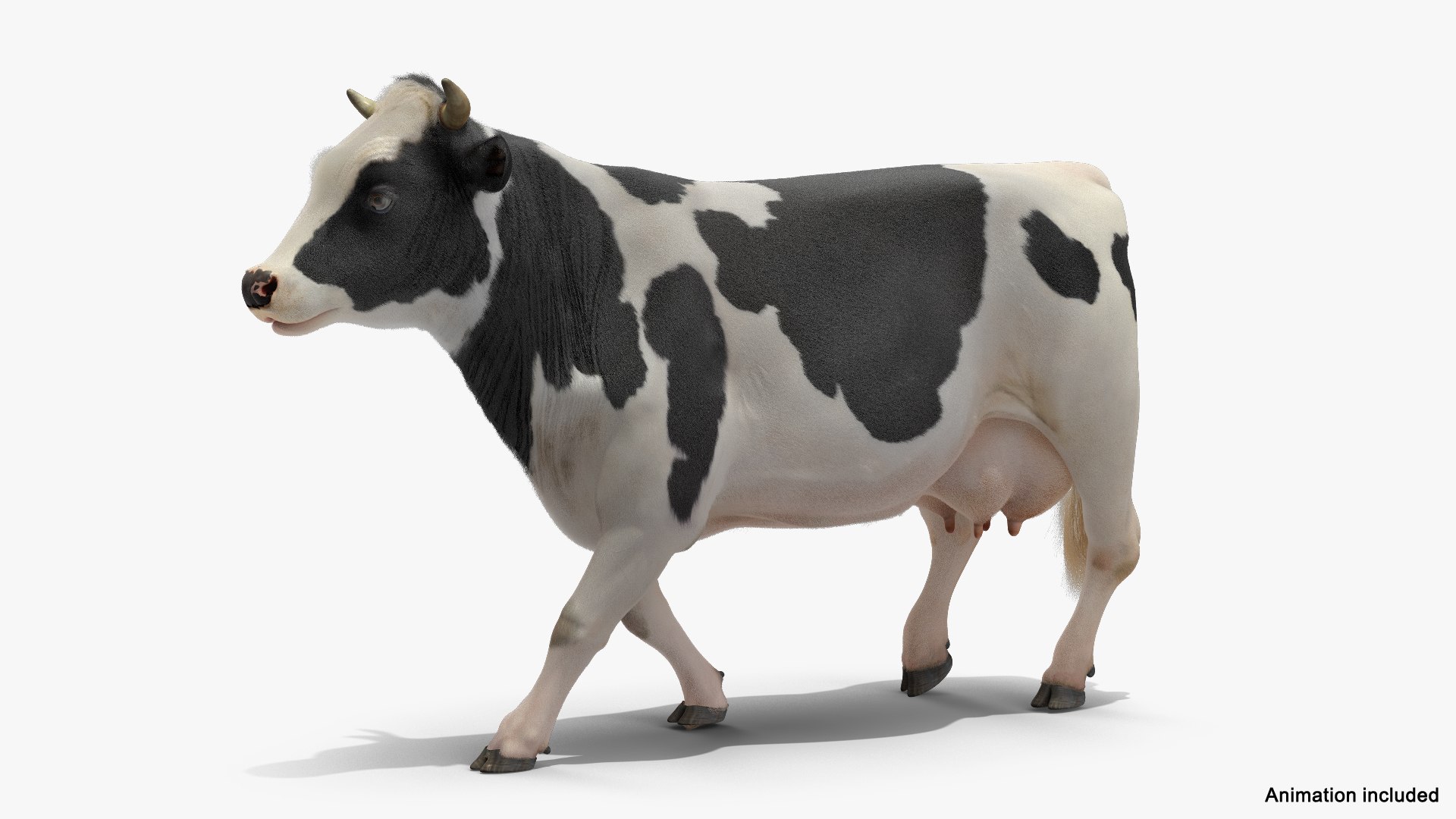 3D cow walking animal rigged - TurboSquid 1417820