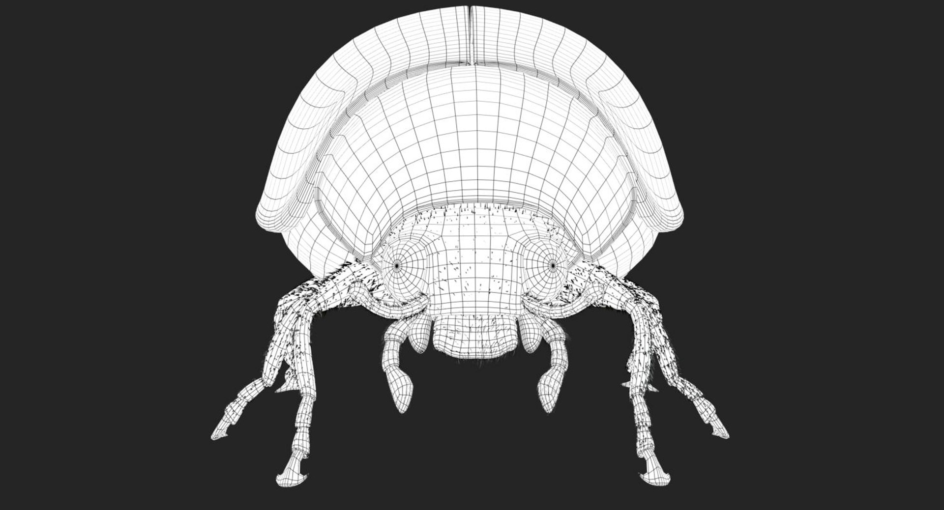 3d rigged ladybug model