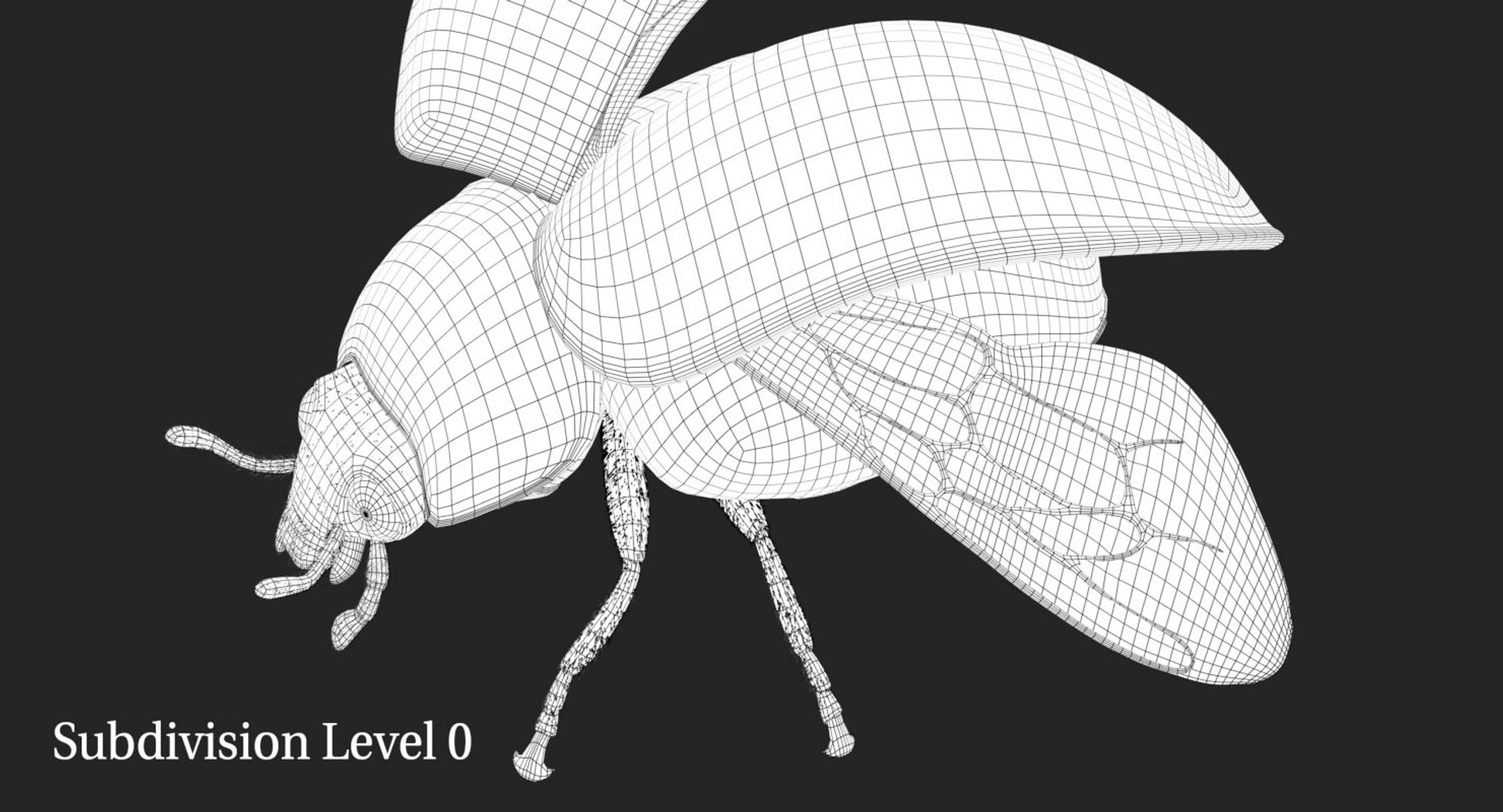 3d rigged ladybug model