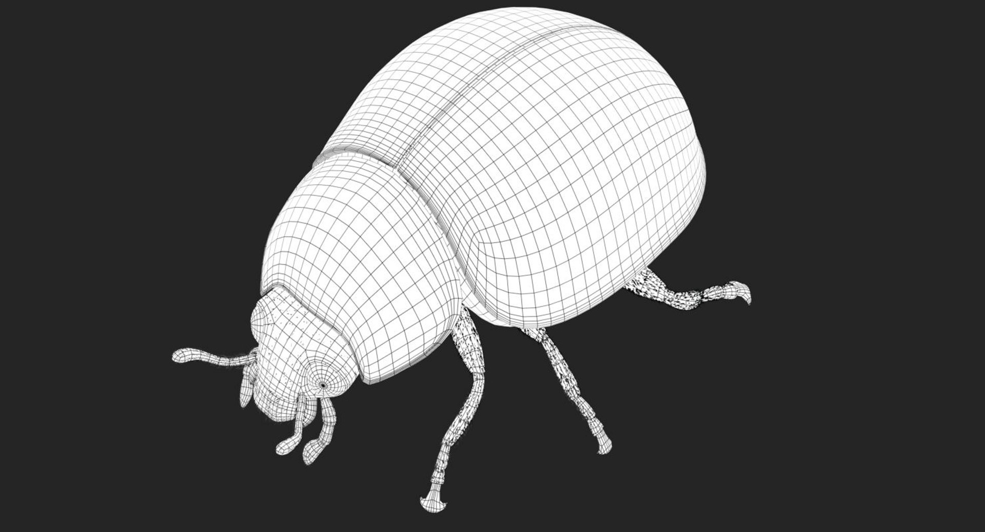 3d rigged ladybug model