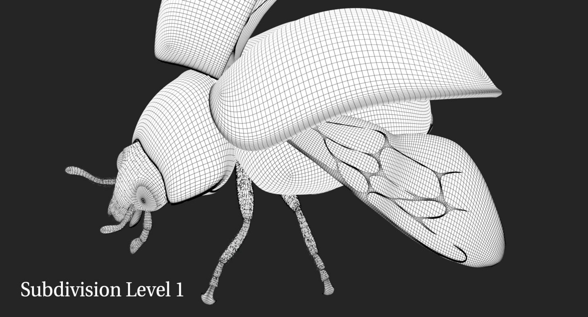 3d rigged ladybug model