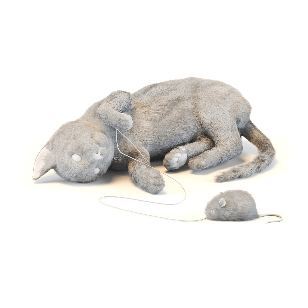 3D cat model https://p.turbosquid.com/ts-thumb/rW/aXLzAN/75iETtfD/02/jpg/1505071411/1920x1080/fit_q87/eafd0f00bfb45c012ce8f297fcb9e0fa854f22fd/02.jpg
