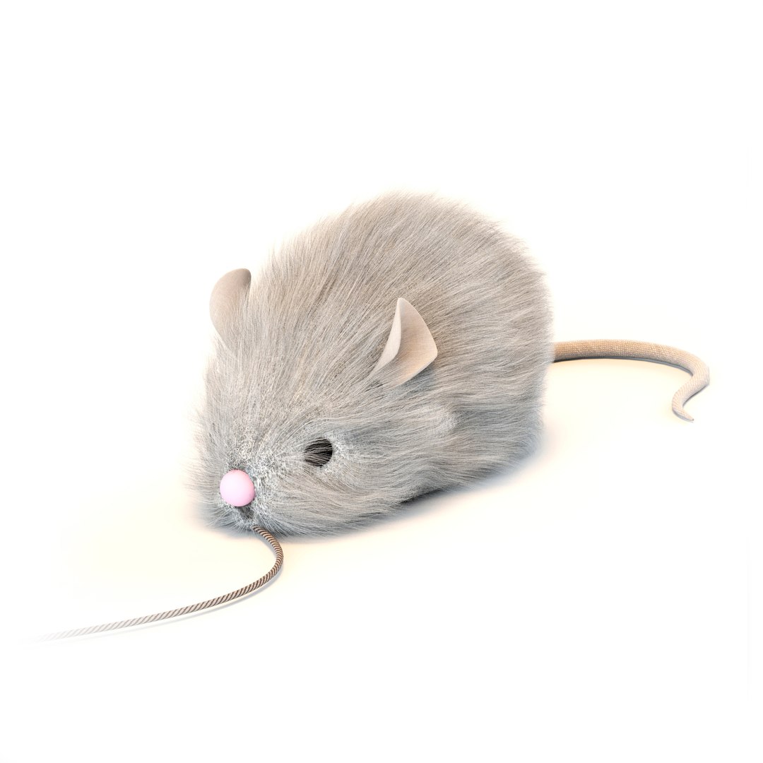 3D cat model https://p.turbosquid.com/ts-thumb/rW/aXLzAN/IH2jJxYH/prewiew02/jpg/1505071164/1920x1080/fit_q87/aae6a94354efc1b67dcb25cddbe4556a4875f55b/prewiew02.jpg