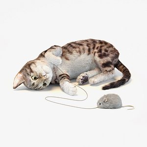 Kitten in two color options