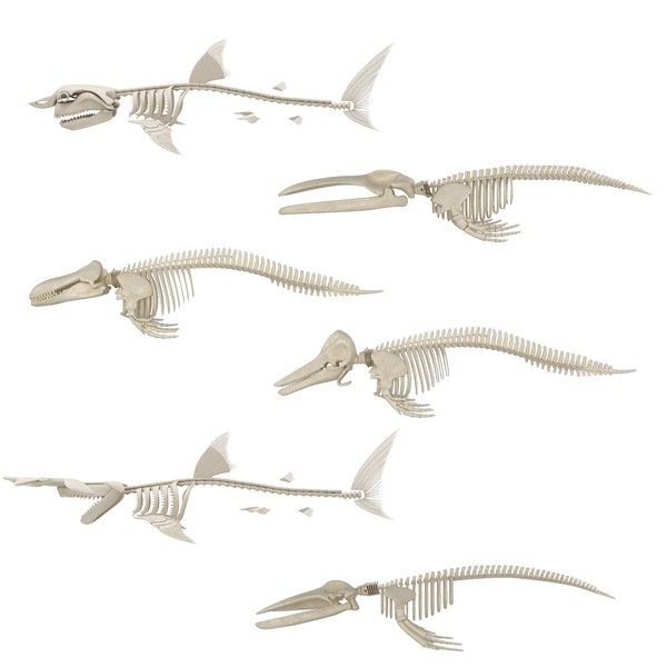 fish skeleton 3d obj