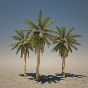 3dsmax tall palm
