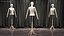 Female Flexible Half Body Mannequin Torso with Wooden Base Rigged for Cinema 4D
