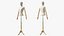 Female Flexible Half Body Mannequin Torso with Wooden Base Rigged for Cinema 4D