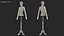 Female Flexible Half Body Mannequin Torso with Wooden Base Rigged for Cinema 4D