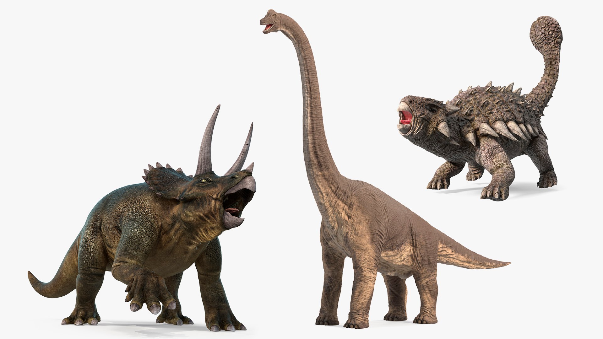Rigged Herbivorous Dinosaurs Collection for Cinema 4D 3D model preview