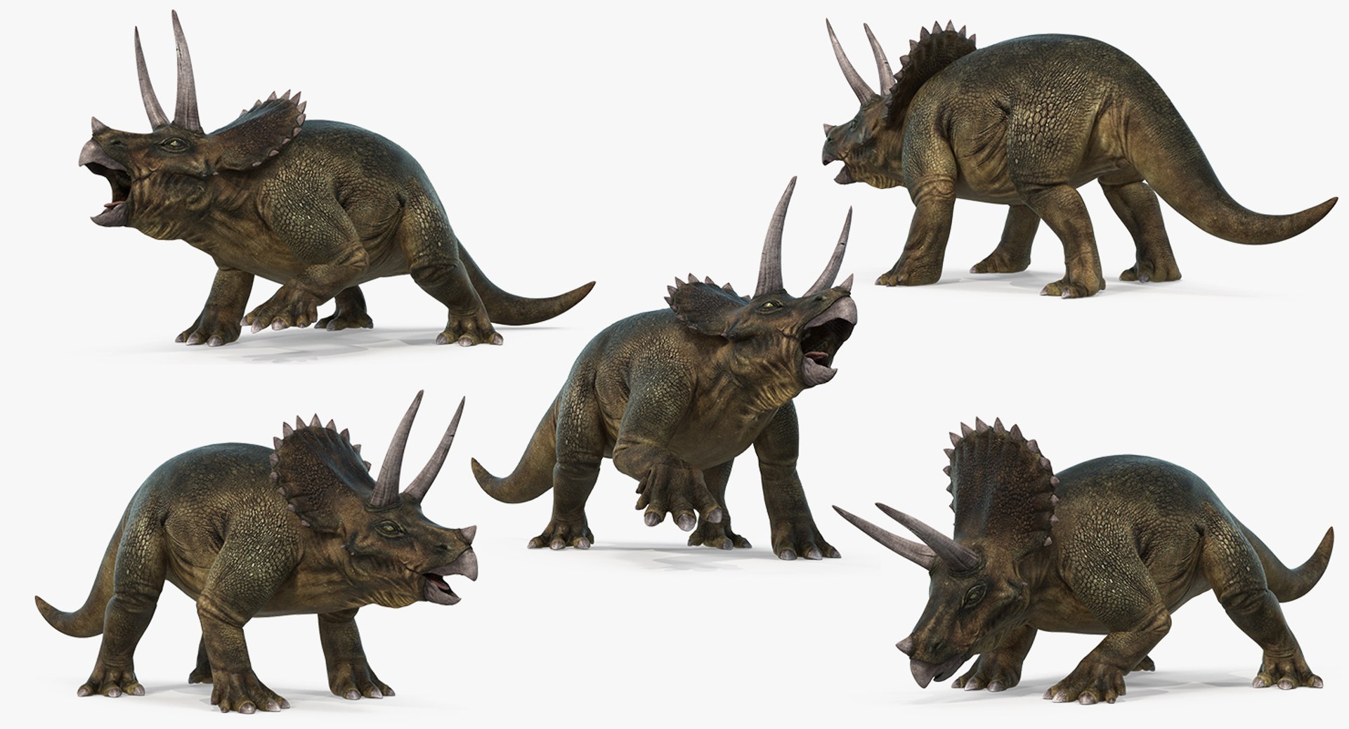 Rigged Herbivorous Dinosaurs Collection for Cinema 4D 3D https://p.turbosquid.com/ts-thumb/rW/motNBq/mm/riggedherbivorousdinosaurscollection3dmodel035/jpg/1715046038/1920x1080/fit_q87/68667cd7b139930bfd1272d1d959b6cf4cc8a571/riggedherbivorousdinosaurscollection3dmodel035.jpg