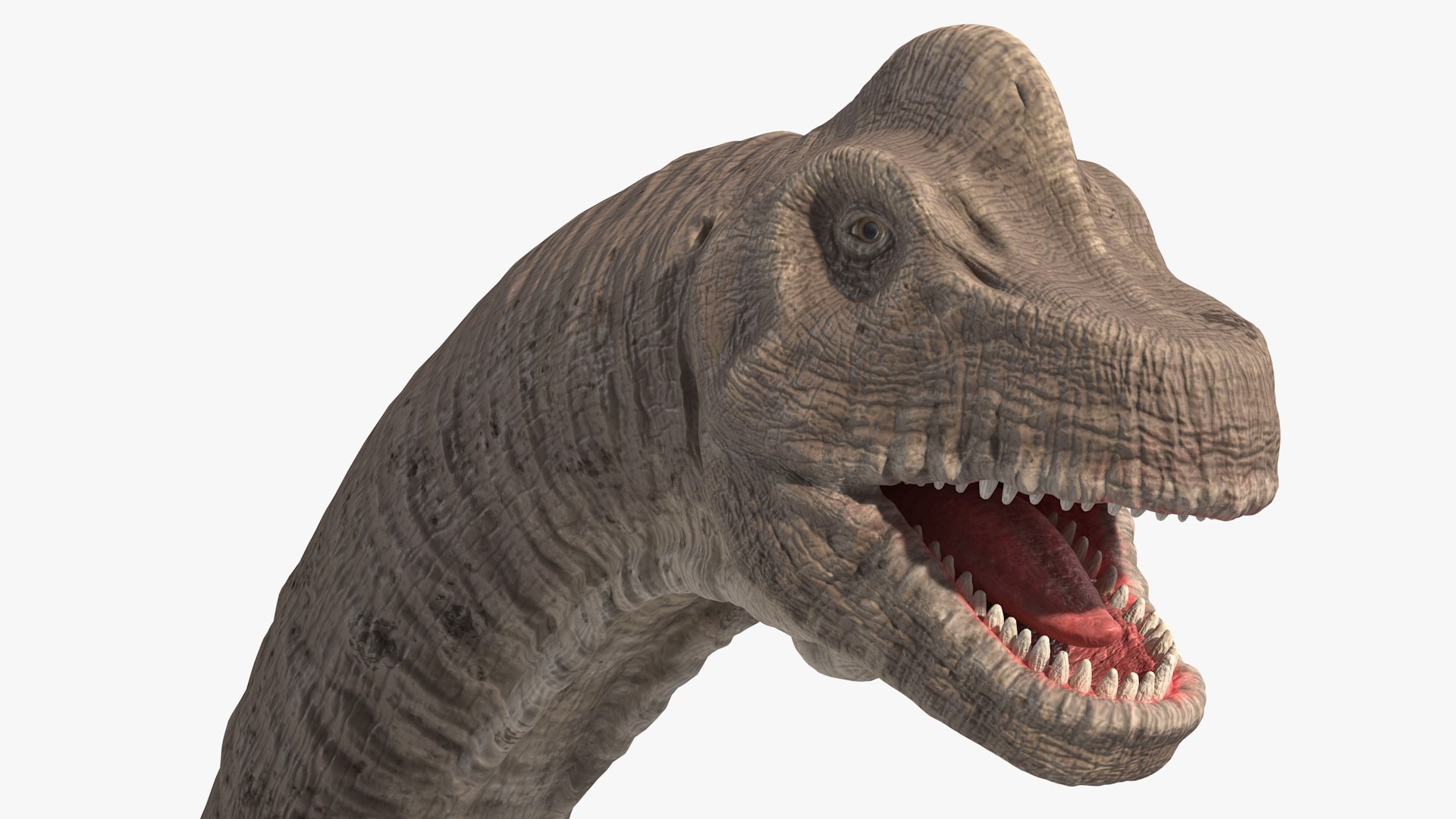 Rigged Herbivorous Dinosaurs Collection for Cinema 4D 3D https://p.turbosquid.com/ts-thumb/rW/motNBq/th/riggedherbivorousdinosaurscollection3dmodel029/jpg/1715046009/1920x1080/fit_q87/7d1934ba46cb9d3c2ed05bdfd2bb48fc46d5b8ed/riggedherbivorousdinosaurscollection3dmodel029.jpg