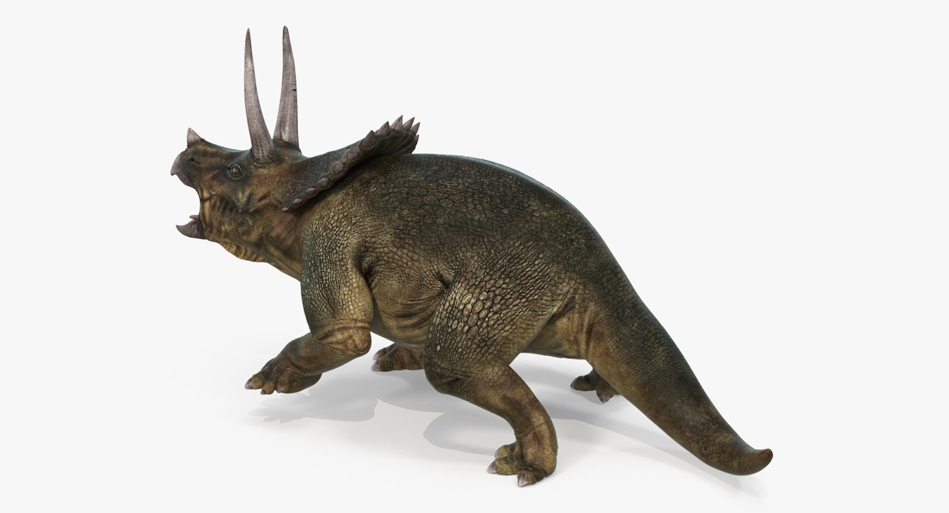 Rigged Herbivorous Dinosaurs Collection for Cinema 4D 3D https://p.turbosquid.com/ts-thumb/rW/motNBq/we/riggedherbivorousdinosaurscollection3dmodel037/jpg/1715046048/1920x1080/fit_q87/af65d9b62bae24fca9e78112e76eba15d96d8aea/riggedherbivorousdinosaurscollection3dmodel037.jpg