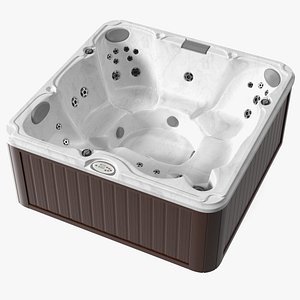 3D JACUZZI J235 Hot Tub Brown model