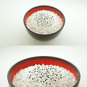 rice model
