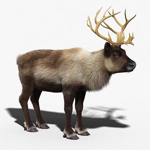 3d max reindeer fur