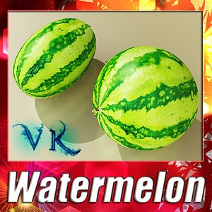 3d melon water watermelon model