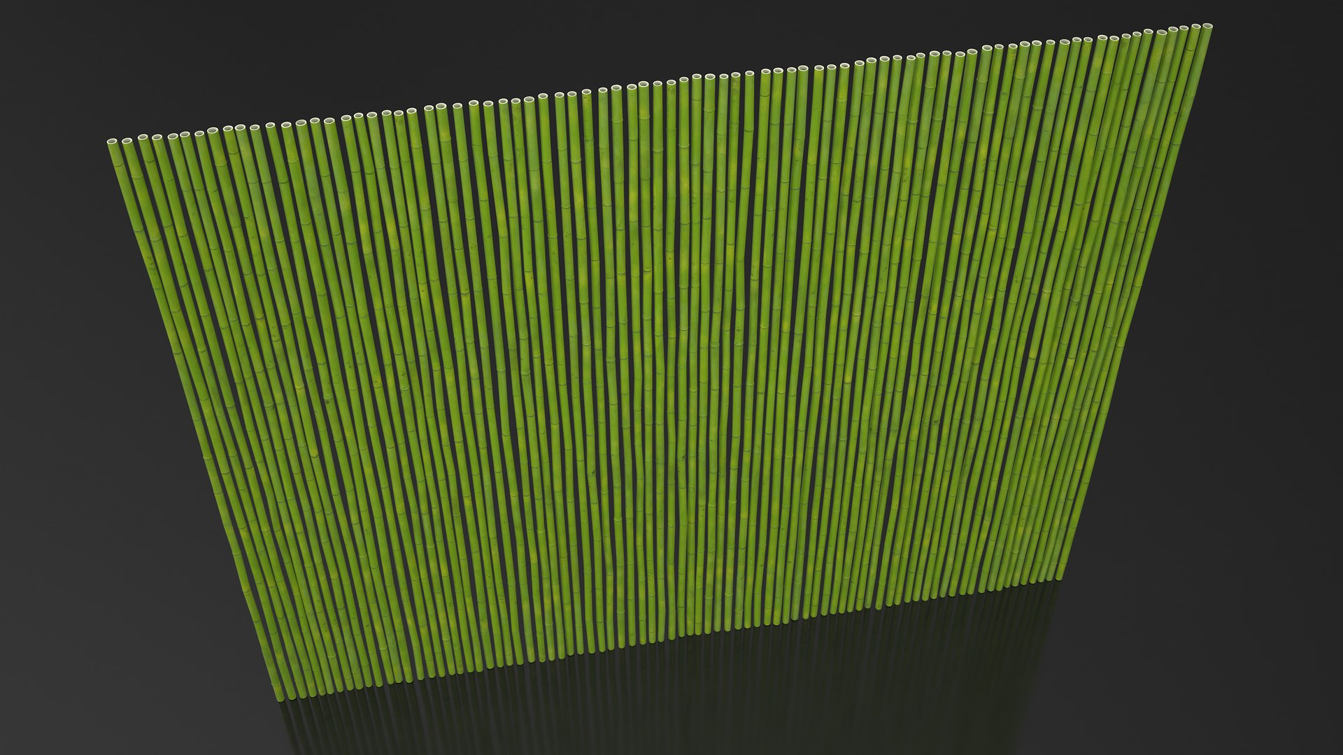 3D Natural Bamboo Fence Green https://p.turbosquid.com/ts-thumb/rX/Bf3JNF/Vi/naturalbamboofencegreenvray3dmodel005/jpg/1669329626/1920x1080/fit_q87/cbef060fe2704f7d1f6d906fb47da4ee2bba686c/naturalbamboofencegreenvray3dmodel005.jpg