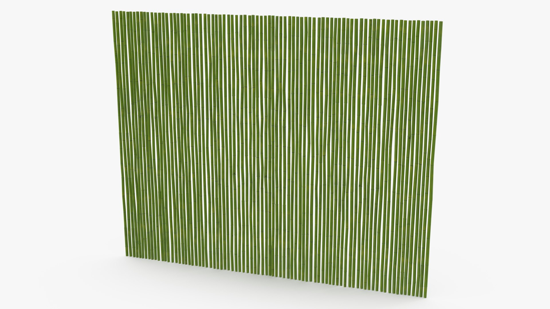 3D Natural Bamboo Fence Green https://p.turbosquid.com/ts-thumb/rX/Bf3JNF/rF/naturalbamboofencegreenvray3dmodel006/jpg/1669329629/1920x1080/fit_q87/6dc6e75512189e52010ad4df450be0daff3907dc/naturalbamboofencegreenvray3dmodel006.jpg