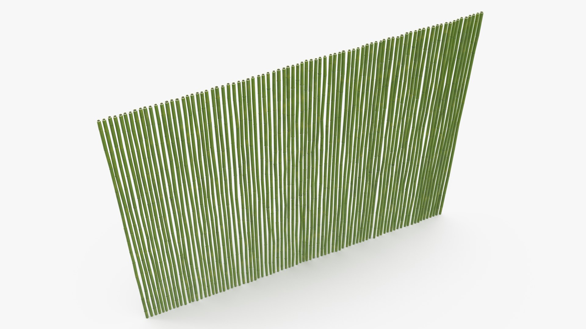 Natural Bamboo Fence Green 3D model preview