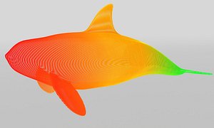 3d model grampus whale