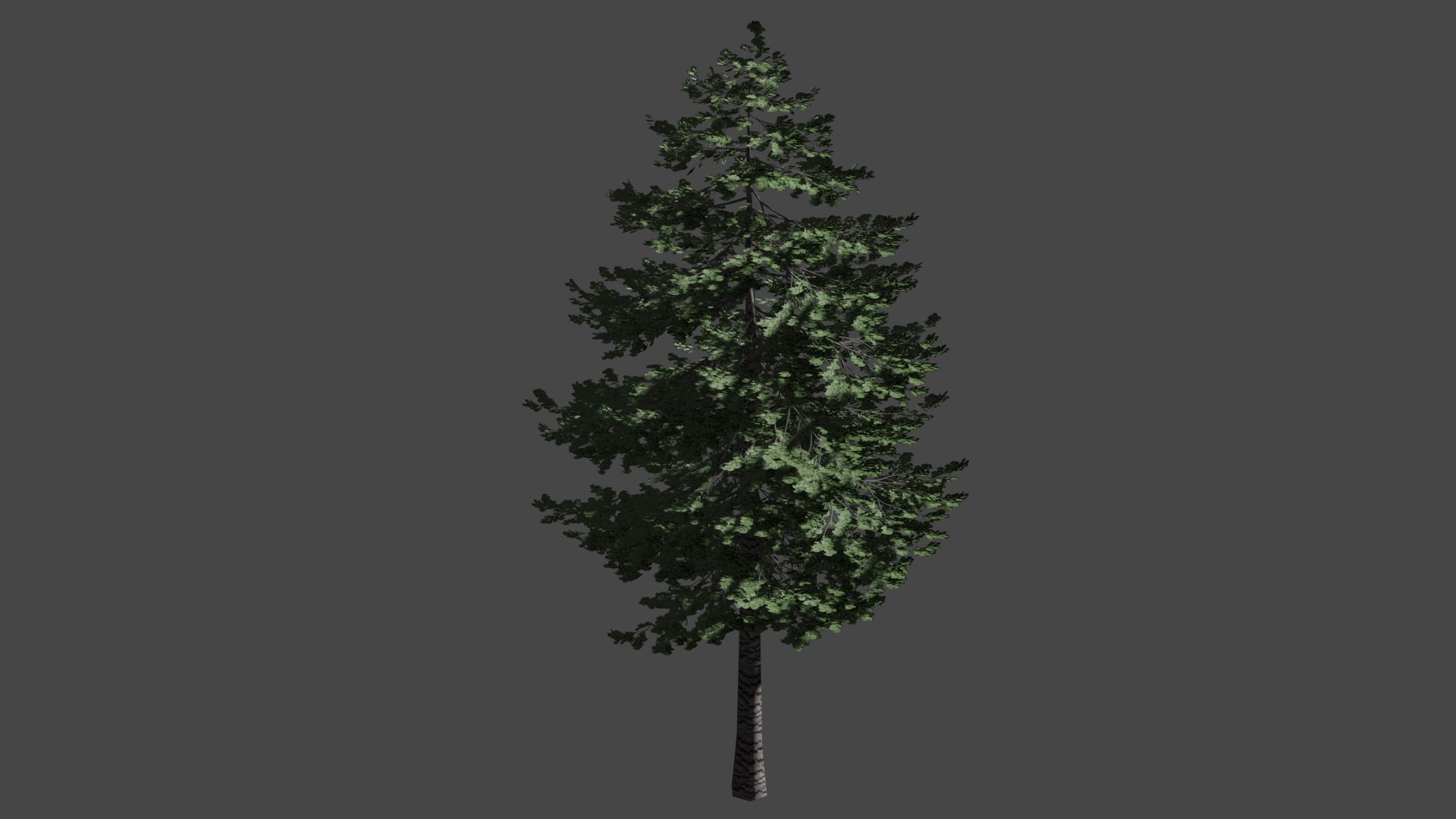 Pine Tree 3d - Turbosquid 1624215