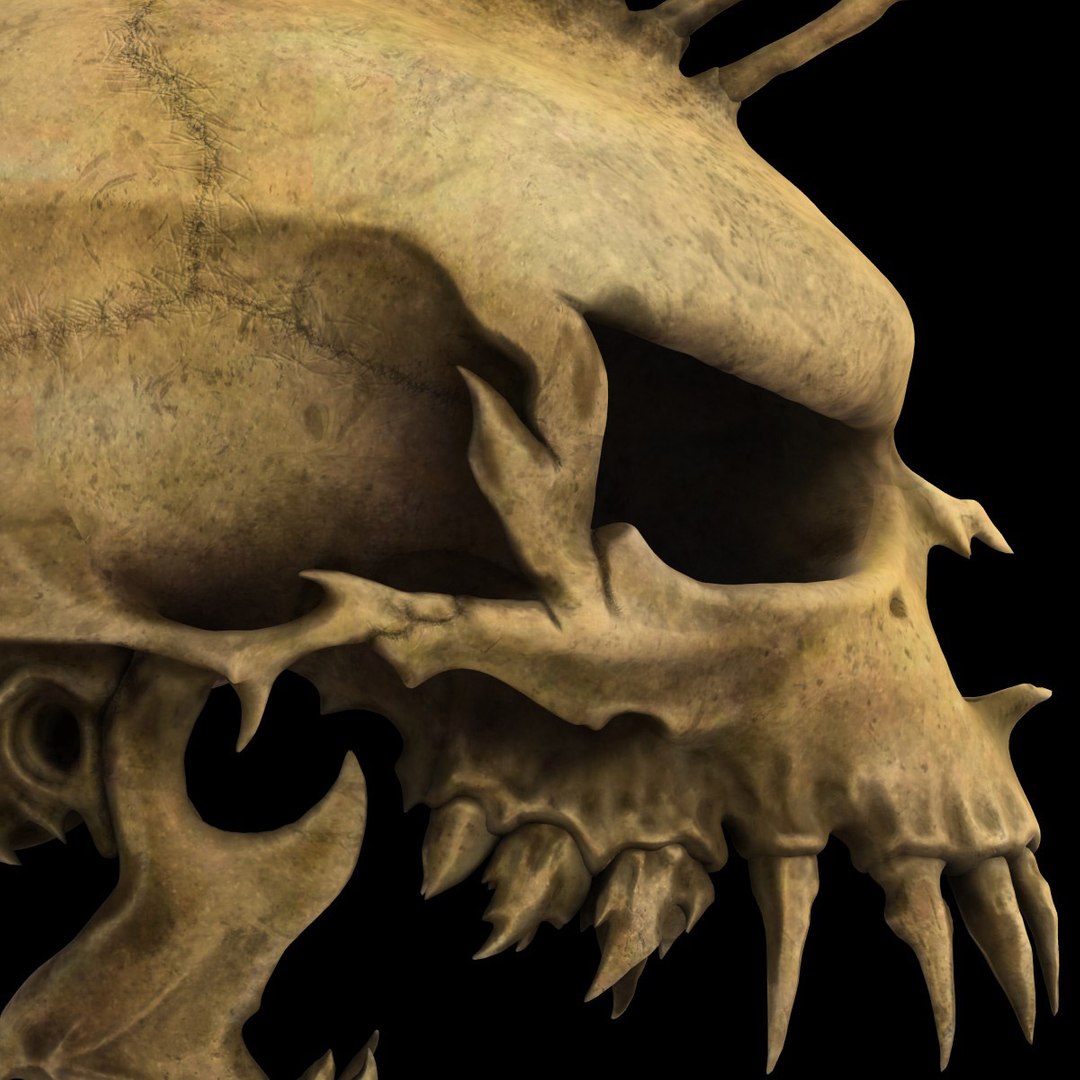 skull mohawk 3d c4d https://p.turbosquid.com/ts-thumb/rX/QBpj9L/USyVaprI/punkskull7/jpg/1497876911/1920x1080/fit_q87/7449abc0312ebbf84194c5b6a7fd6aa34c4f5f05/punkskull7.jpg