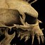 Punk Skull