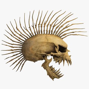 Punk Skull