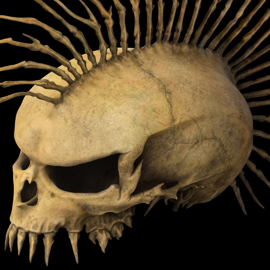 skull mohawk 3d c4d https://p.turbosquid.com/ts-thumb/rX/QBpj9L/cTnG76uE/punkskull4/jpg/1497876911/1920x1080/fit_q87/9d889209d483654317d9179b1e53eb080ebf5cc3/punkskull4.jpg