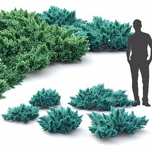 3D creeping shrub squamata