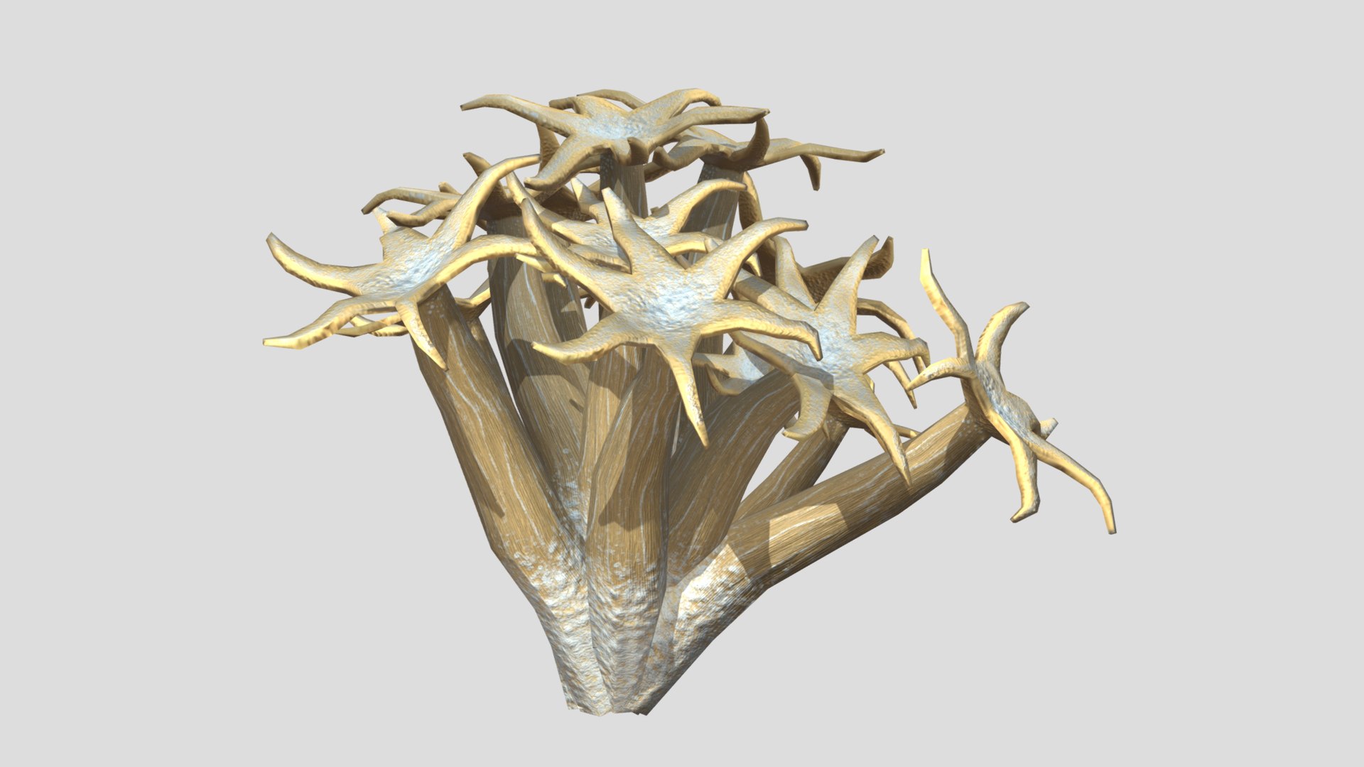 Organ Pipe Coral Low Poly model https://p.turbosquid.com/ts-thumb/rX/SFoc6A/1K/organ_pipe_coral_pbr_low_poly_realistic9/png/1724904429/1920x1080/fit_q87/33412d6c6dedf91fecead4a49bbe35da767165d0/organ_pipe_coral_pbr_low_poly_realistic9.jpg