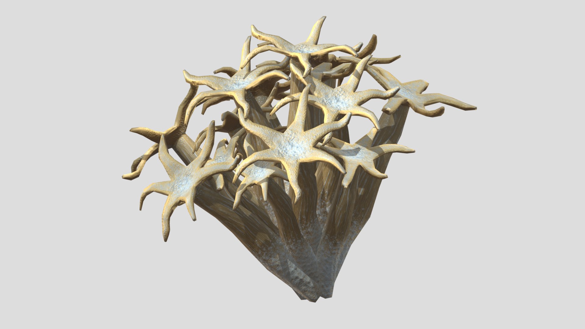 Organ Pipe Coral Low Poly model https://p.turbosquid.com/ts-thumb/rX/SFoc6A/pg/organ_pipe_coral_pbr_low_poly_realistic5/png/1724904426/1920x1080/fit_q87/05f4c25b75a3eafd7a7b00ffdae52f344a53461d/organ_pipe_coral_pbr_low_poly_realistic5.jpg