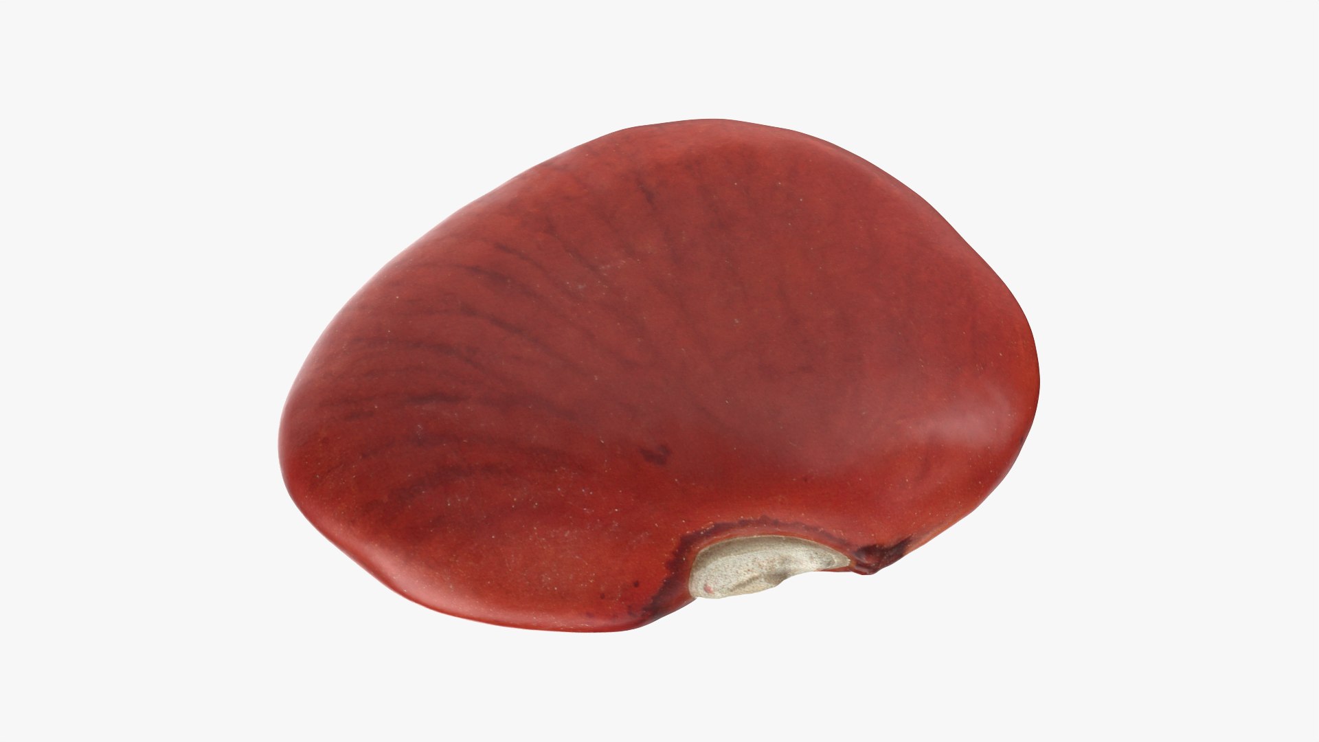 Red Bean Flat Collection model https://p.turbosquid.com/ts-thumb/rX/Tjwt7n/sl/redbeanflat02_0001/png/1782326705/1920x1080/fit_q87/99a4b0027f07e2105da47cfb723b5aa40dee2d96/redbeanflat02_0001.jpg