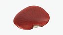 Red Flat Bean 02 - 3D Scanned