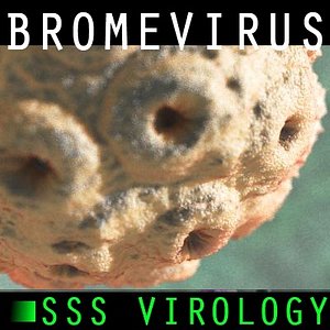 SSS Brome Mosaic Virus HD
