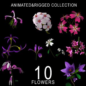 ANIMATED FLOWERS COLLECTION(1)