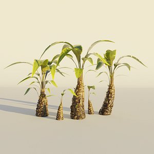 Palm tree set vol3 Cartoon Stylized Hand painted Low-poly 3D model