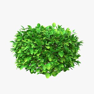 3D model Cartoon Bush 06