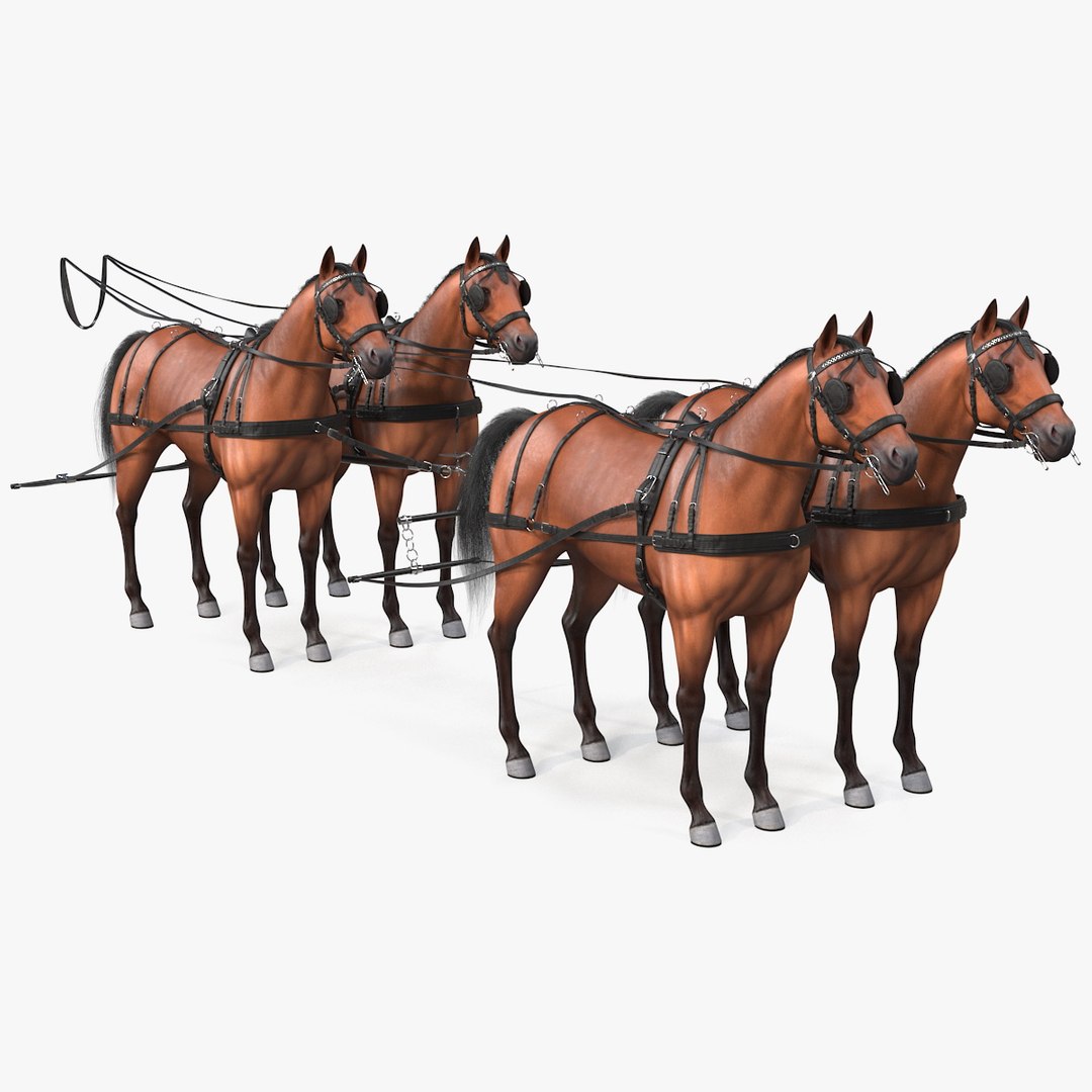 Team of Four Harness Fur Rigged 3D model preview