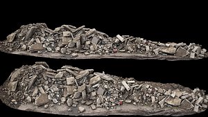 3D concrete debris ruins long pile photogrammetry