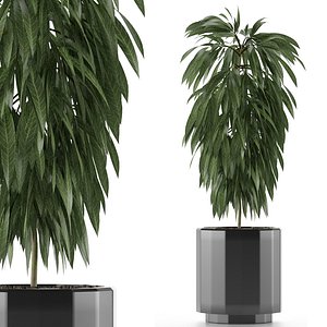 3D single plant 02