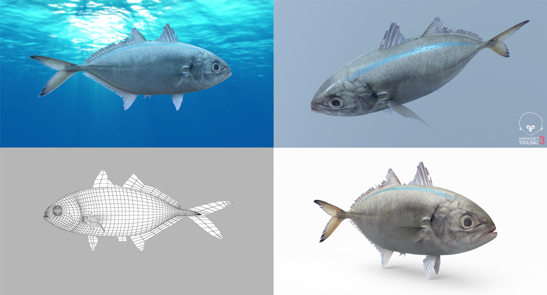 3D Fish Collection 04 https://p.turbosquid.com/ts-thumb/rY/1dK4WQ/7E/barjack_1/png/1667799595/1920x1080/fit_q87/78517aa38966943980d6233d418e01f932558f71/barjack_1.jpg