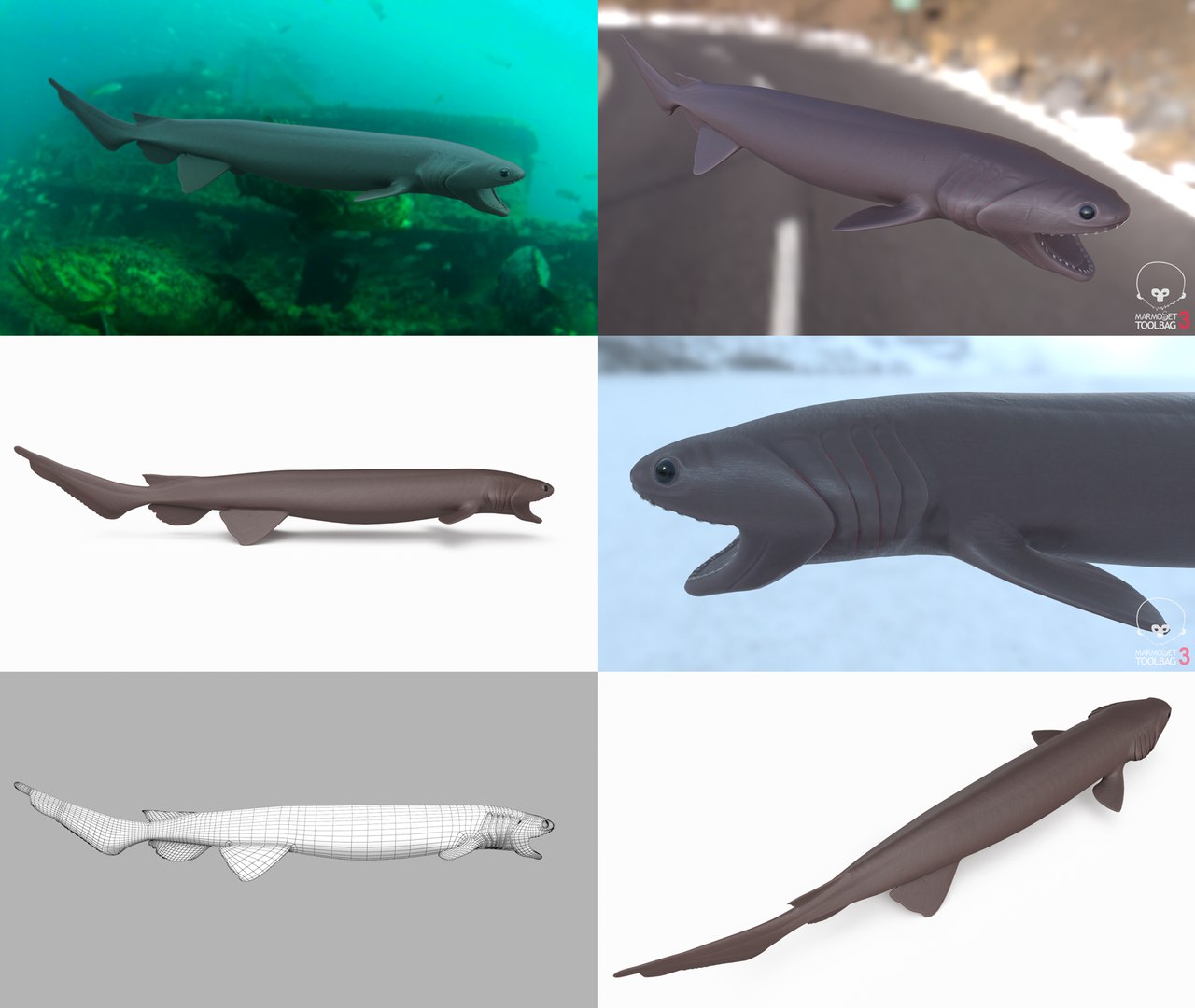 3D Fish Collection 04 https://p.turbosquid.com/ts-thumb/rY/1dK4WQ/GQ/frilledshark_1/png/1667799618/1920x1080/fit_q87/6eebd44fca588a1ee39d040f05b324a465316c30/frilledshark_1.jpg