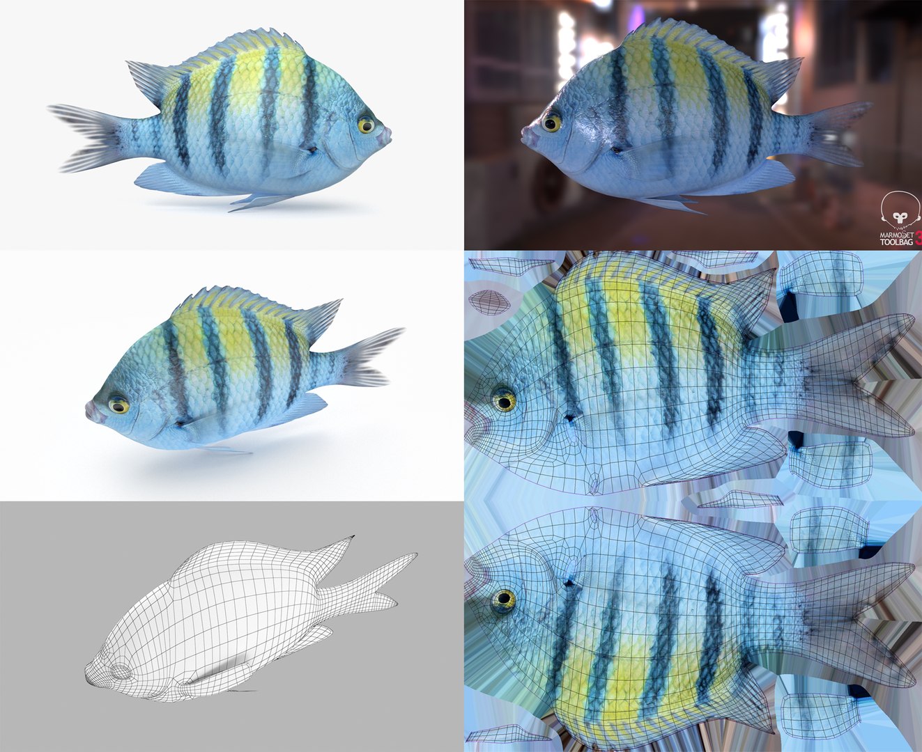 3D Fish Collection 04 https://p.turbosquid.com/ts-thumb/rY/1dK4WQ/Ra/damselfish_1/png/1667799611/1920x1080/fit_q87/38ce959ca32caf1c6ce047f60080cf7017ea0a27/damselfish_1.jpg
