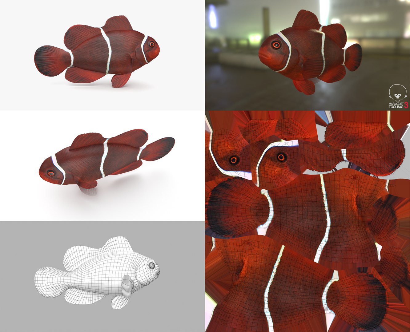 3D Fish Collection 04 https://p.turbosquid.com/ts-thumb/rY/1dK4WQ/Zg/maroonclown_1/png/1667799626/1920x1080/fit_q87/8e2479817fbc7ee0065d7c37dd41837feb5816f7/maroonclown_1.jpg