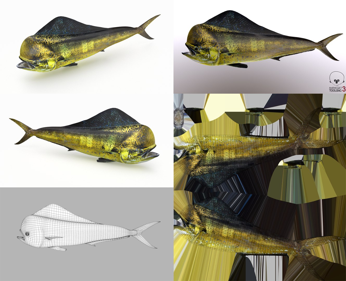 3D Fish Collection 04 https://p.turbosquid.com/ts-thumb/rY/1dK4WQ/dR/dorado_1/png/1667799616/1920x1080/fit_q87/db6cd7981da6b83be11e049f43f25a089ba18267/dorado_1.jpg