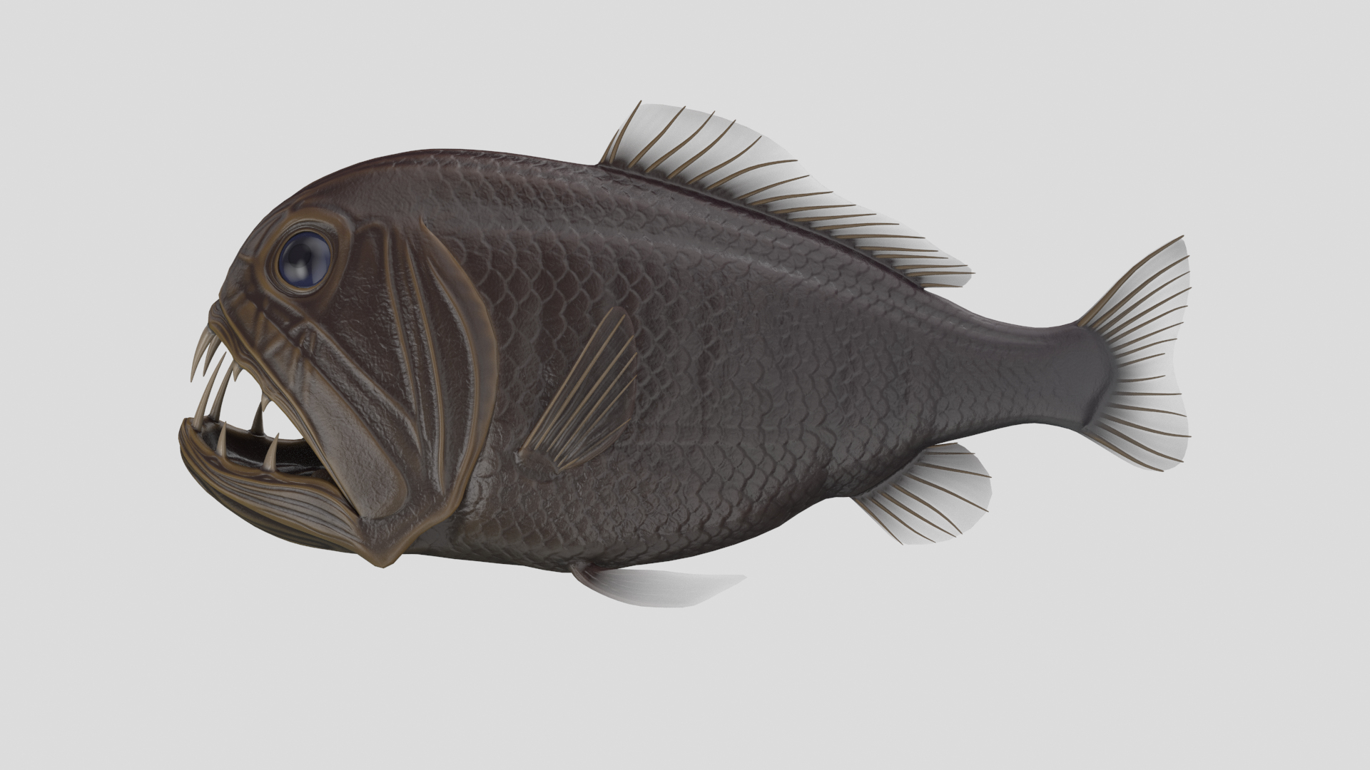 3D Fish Collection 04 https://p.turbosquid.com/ts-thumb/rY/1dK4WQ/oU/fangtoothtt/png/1667802192/1920x1080/turn_fit_q99/b27189e42e6c257b106e16fe8c11ad13ca119c51/fangtoothtt-1.jpg