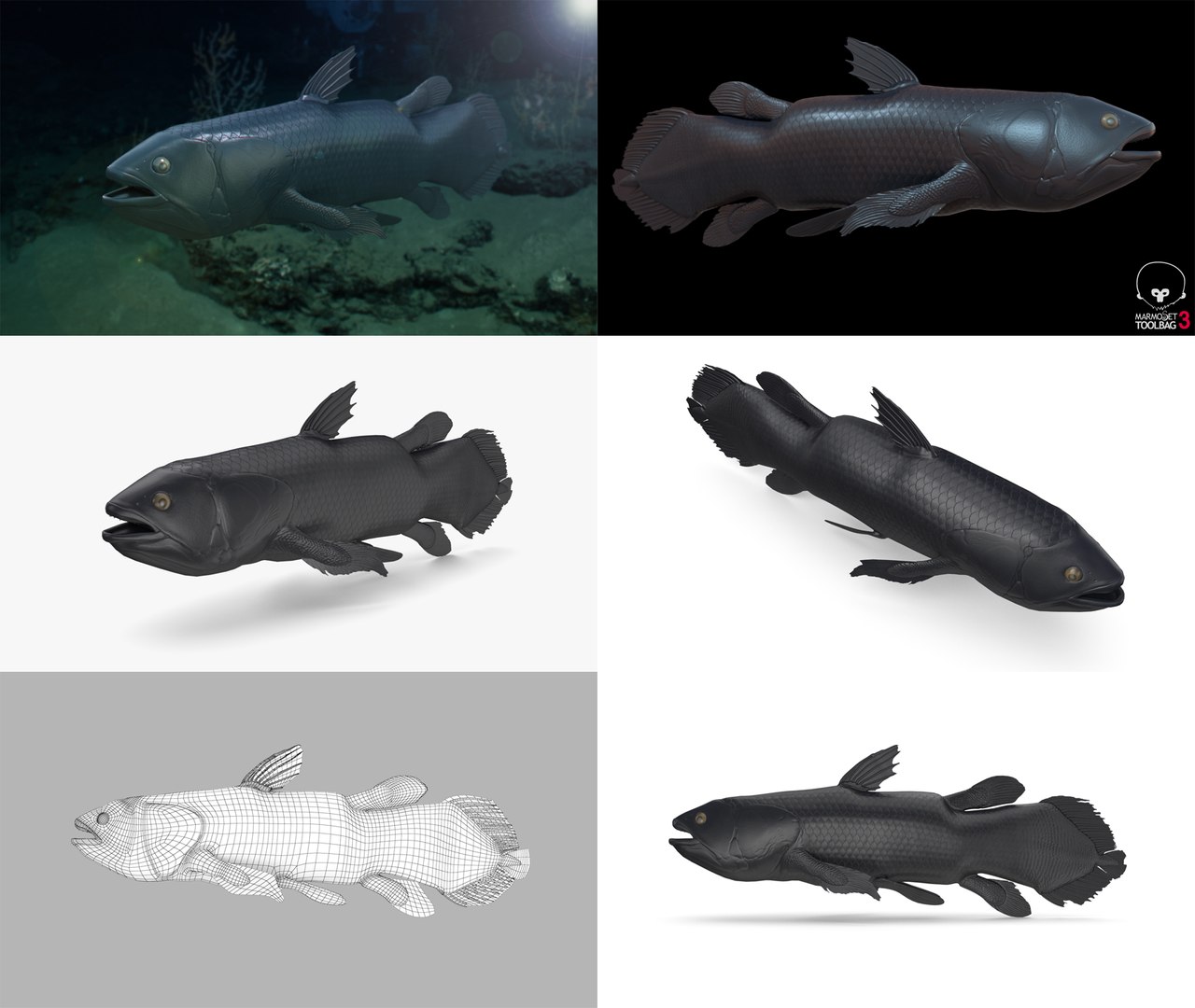3D Fish Collection 04 https://p.turbosquid.com/ts-thumb/rY/1dK4WQ/wG/coel_1/png/1667799608/1920x1080/fit_q87/f3fcf0473cb5d1b5d1ad54516604dbcce82fb6d9/coel_1.jpg