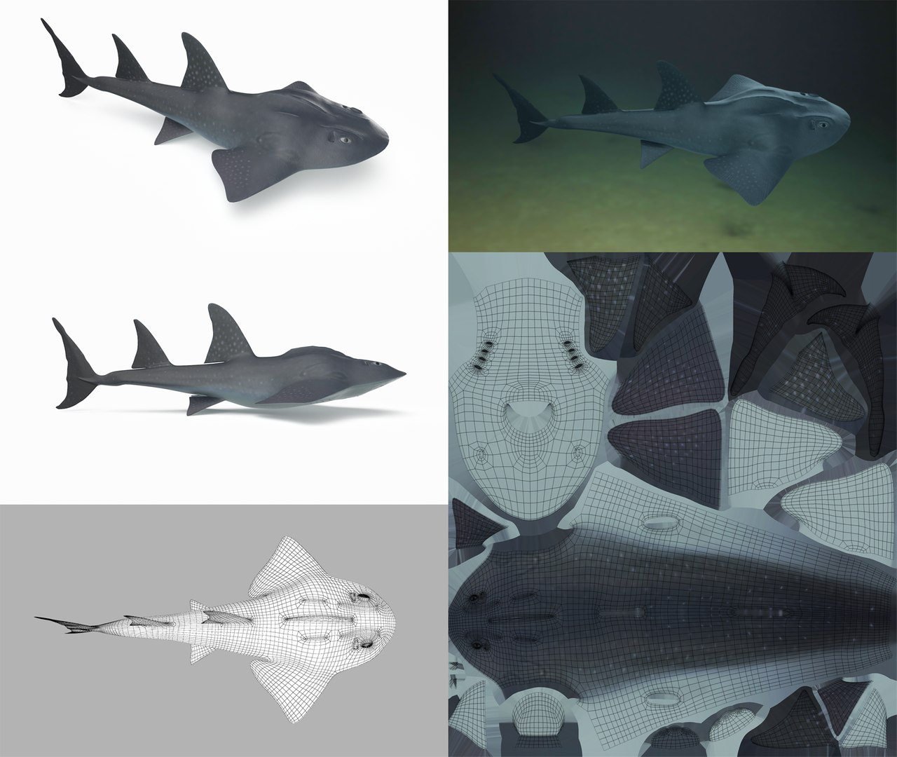 3D Fish Collection 04 https://p.turbosquid.com/ts-thumb/rY/1dK4WQ/xw/bowmouth_1/png/1667799600/1920x1080/fit_q87/7b72cdaa4ff407e46ff20574006c1e17d52b39eb/bowmouth_1.jpg